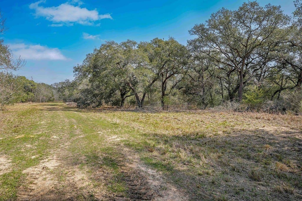 306.03 acres in Wharton County - photo 14