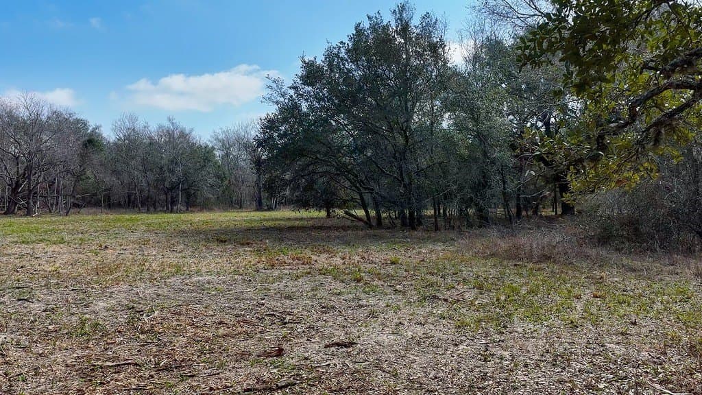 306.03 acres in Wharton County - photo 6