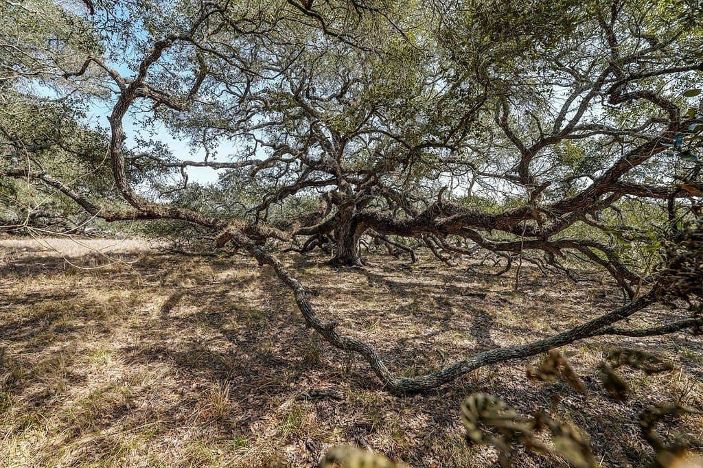 306.03 acres in Wharton County - photo 2
