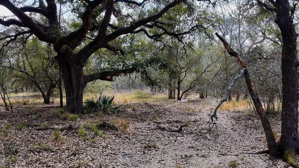306.03 acres in Wharton County - photo 7