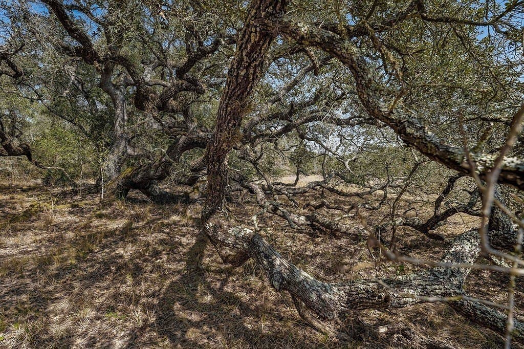 306.03 acres in Wharton County - photo 24