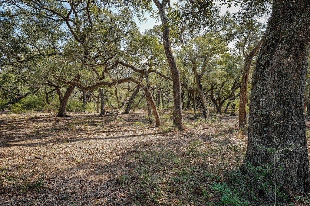 306.03 acres in Wharton County - photo 15