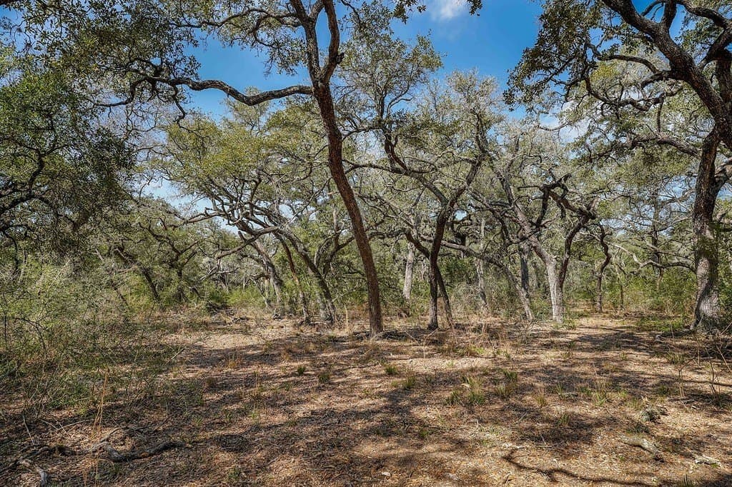 306.03 acres in Wharton County - photo 19