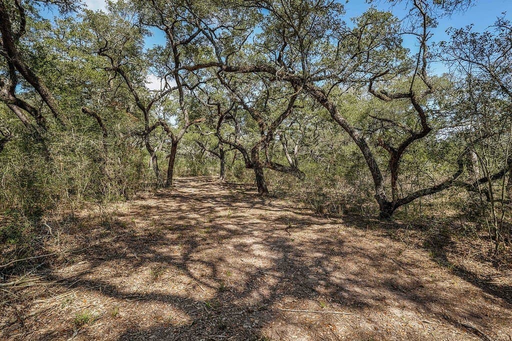 306.03 acres in Wharton County - photo 21