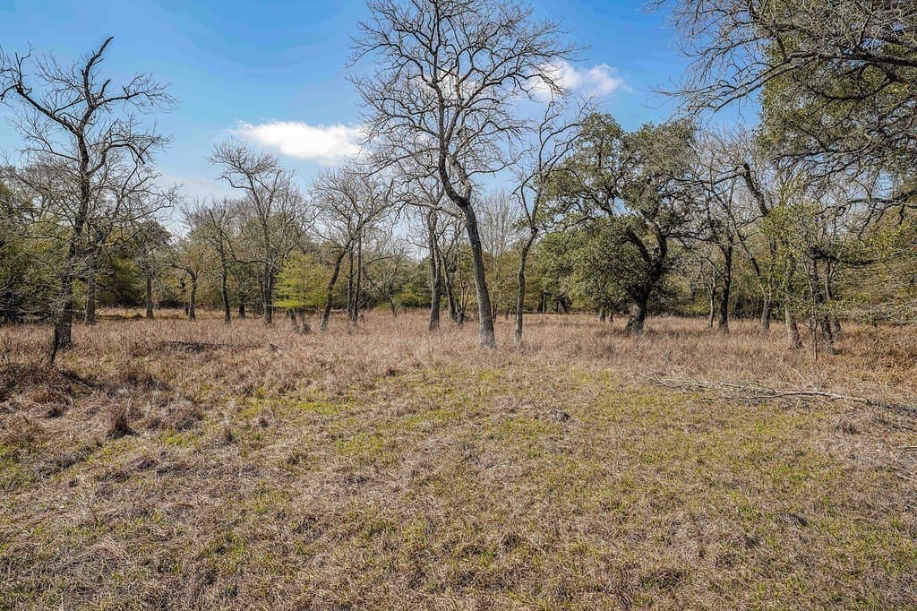 306.03 acres in Wharton County - photo 22
