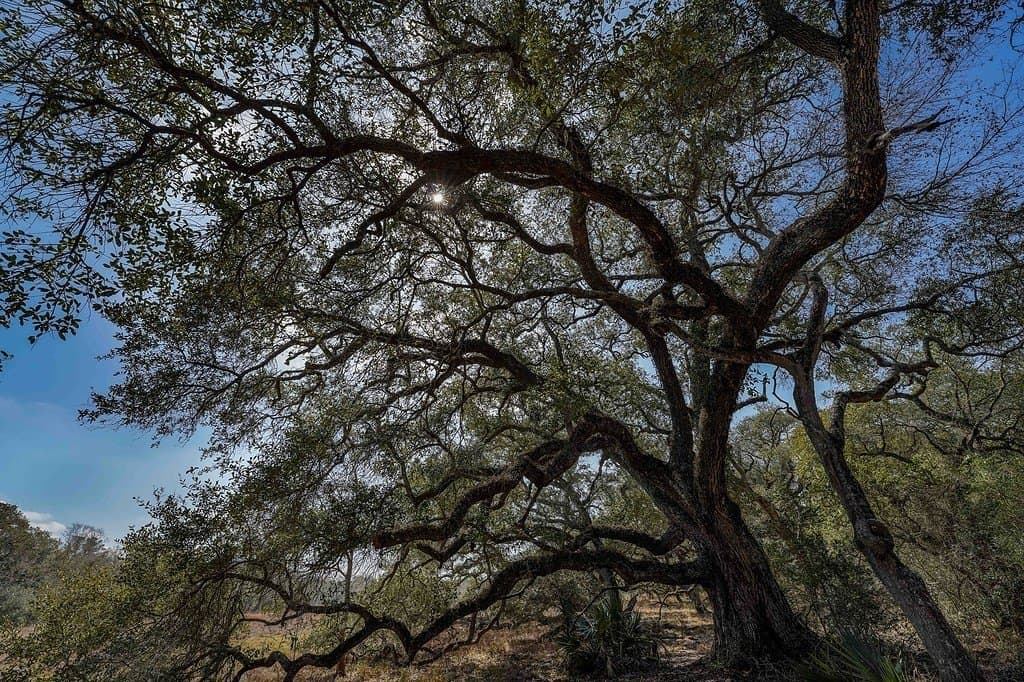 306.03 acres in Wharton County - photo 23