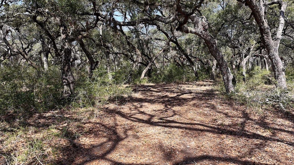 306.03 acres in Wharton County - photo 11