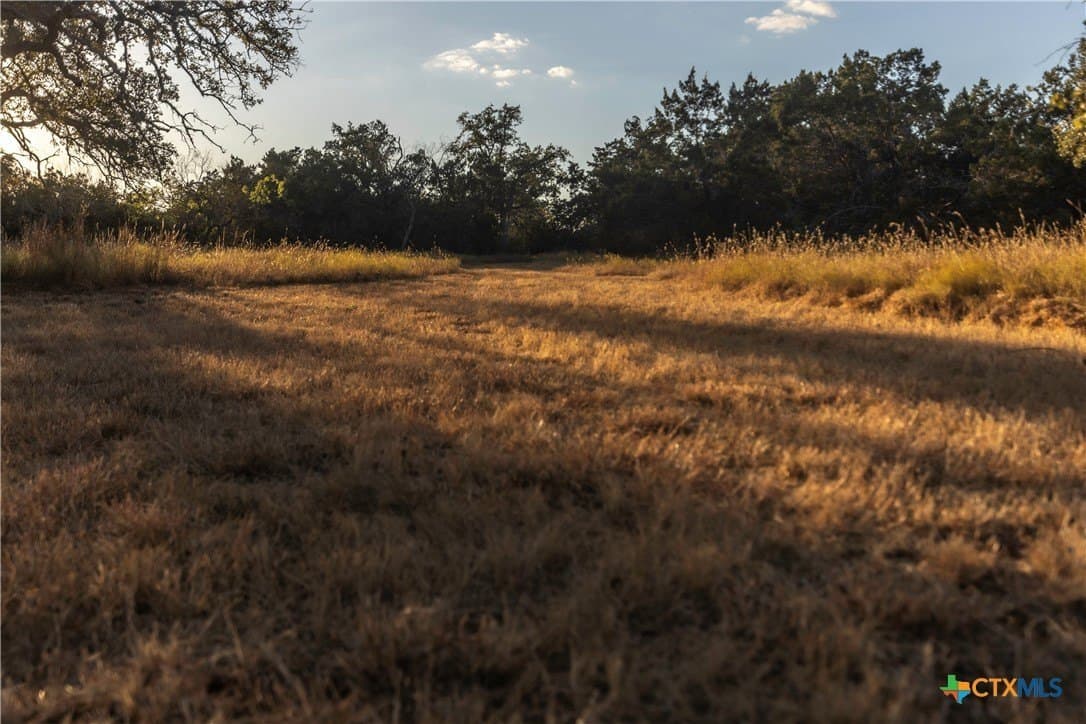 18.15 acres in Gillespie County - photo 10
