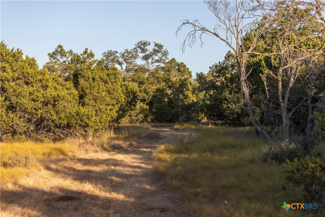 18.15 acres in Gillespie County - photo 6
