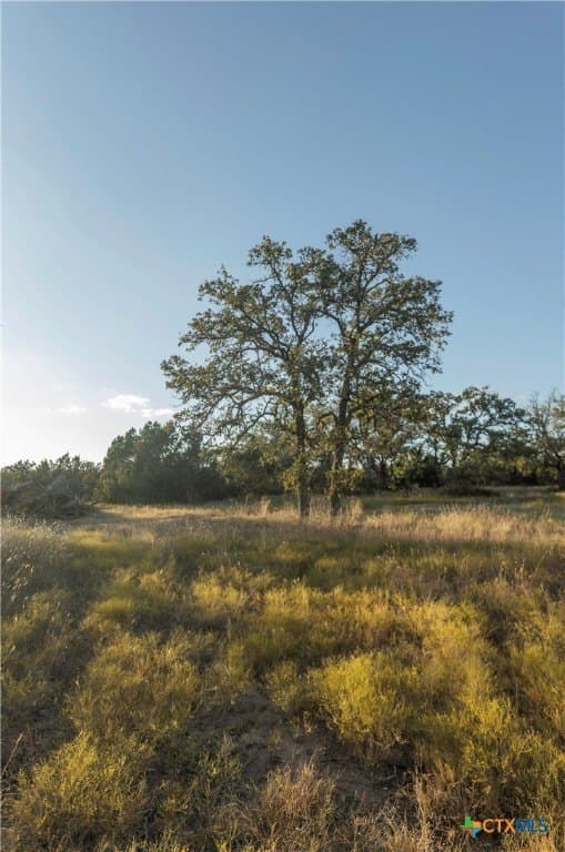 18.15 acres in Gillespie County - photo 8