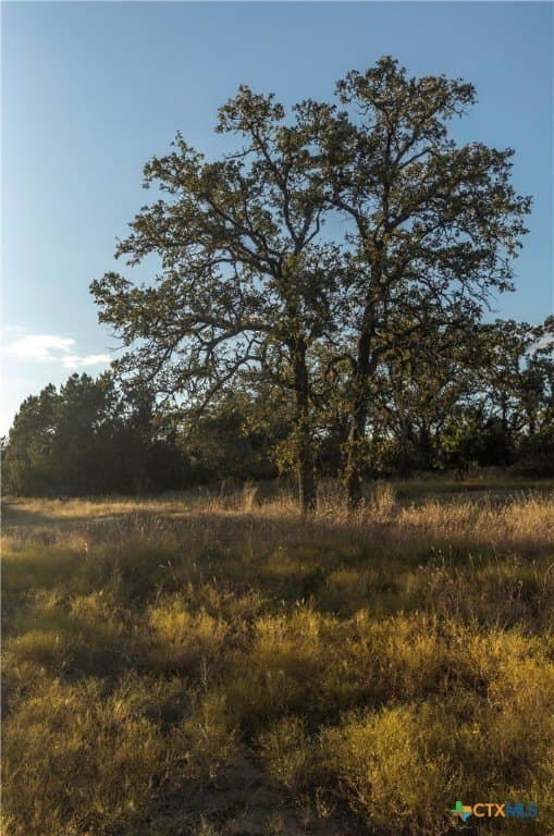 18.15 acres in Gillespie County - photo 9