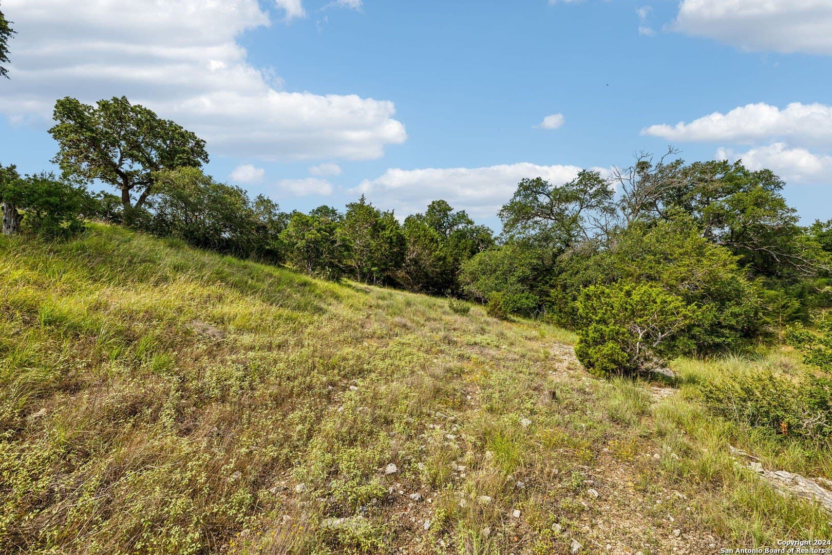 1.86 acres in Comal County - photo 15