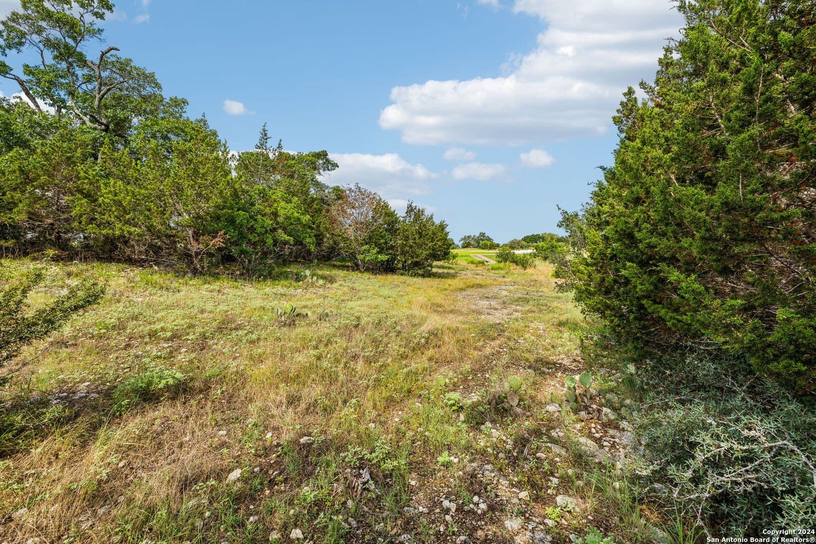 1.86 acres in Comal County - photo 10