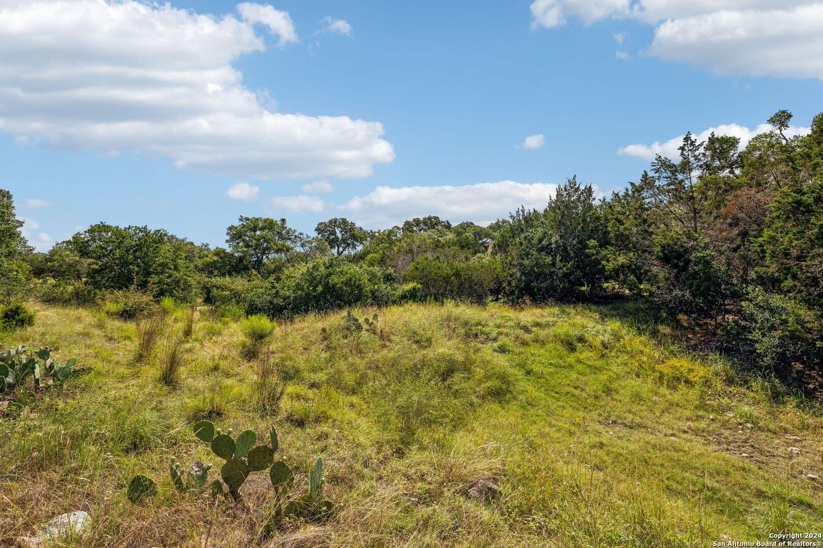 1.86 acres in Comal County - photo 19