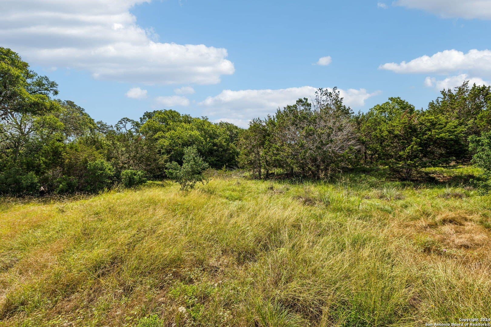 1.86 acres in Comal County - photo 12