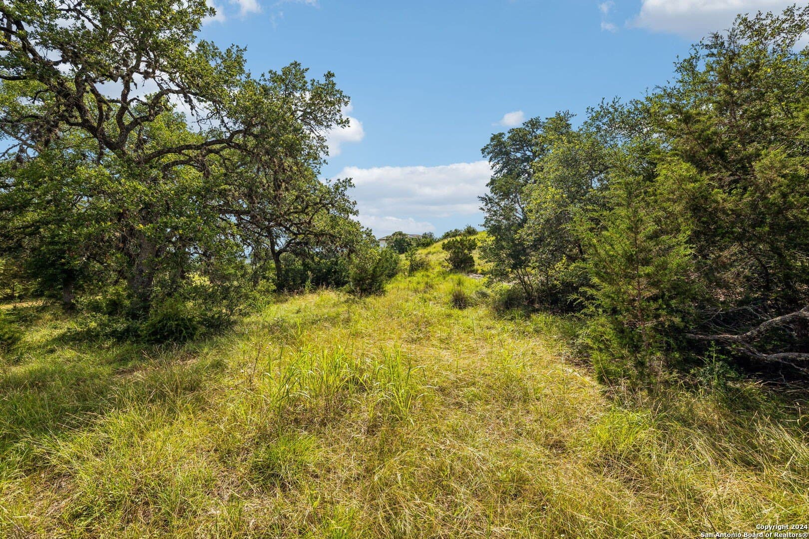 1.86 acres in Comal County - photo 6