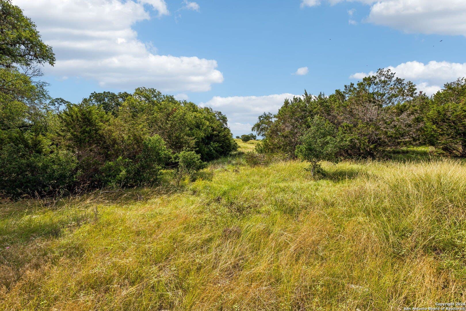 1.86 acres in Comal County - photo 17