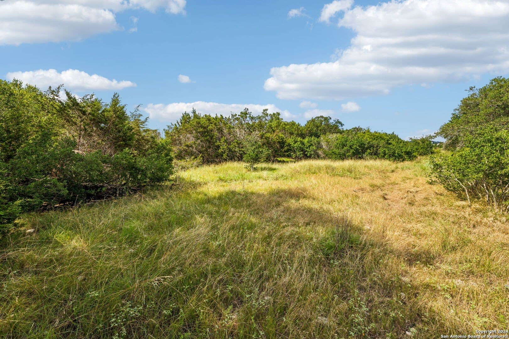 1.86 acres in Comal County - photo 13