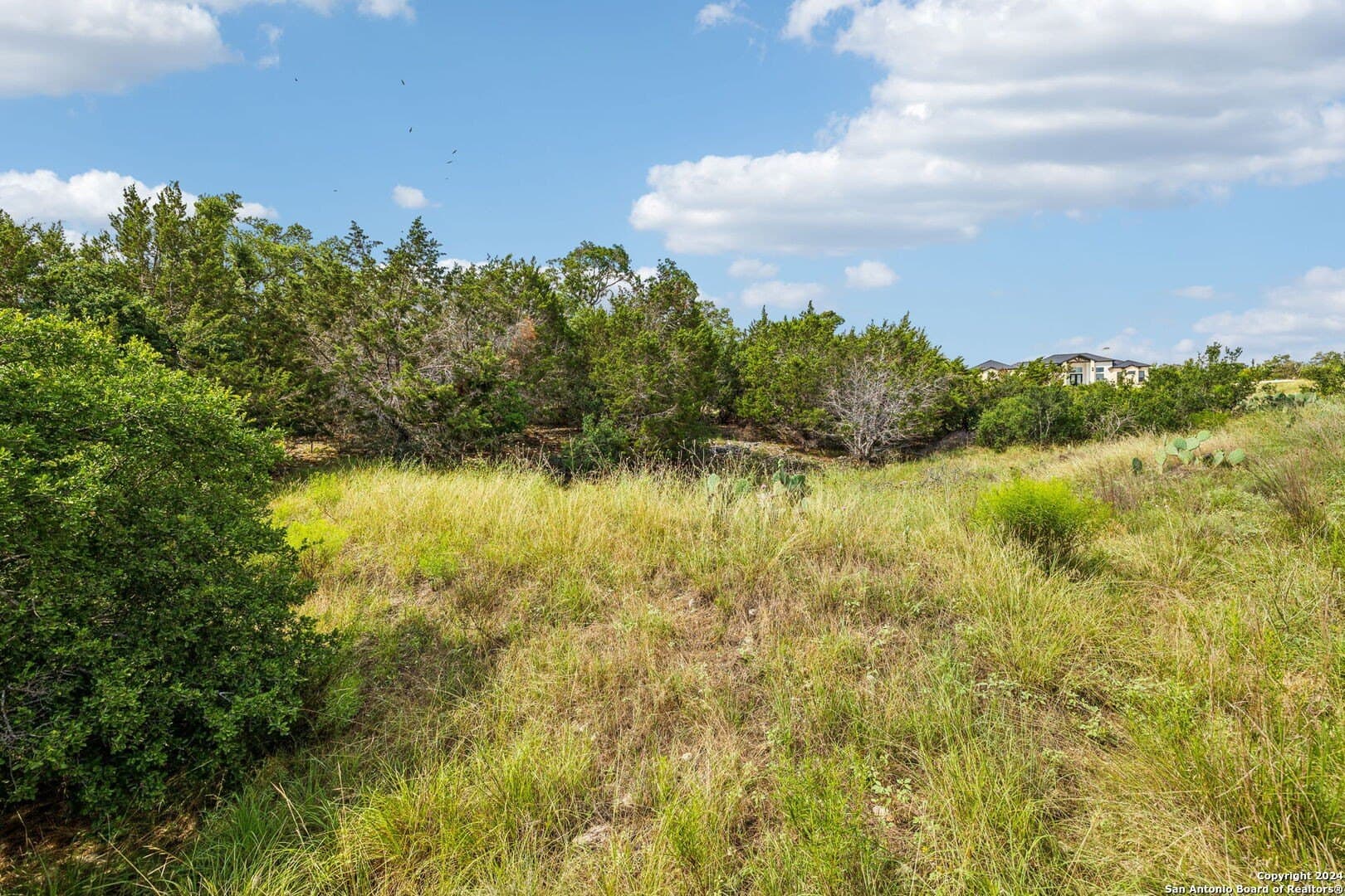 1.86 acres in Comal County - photo 18