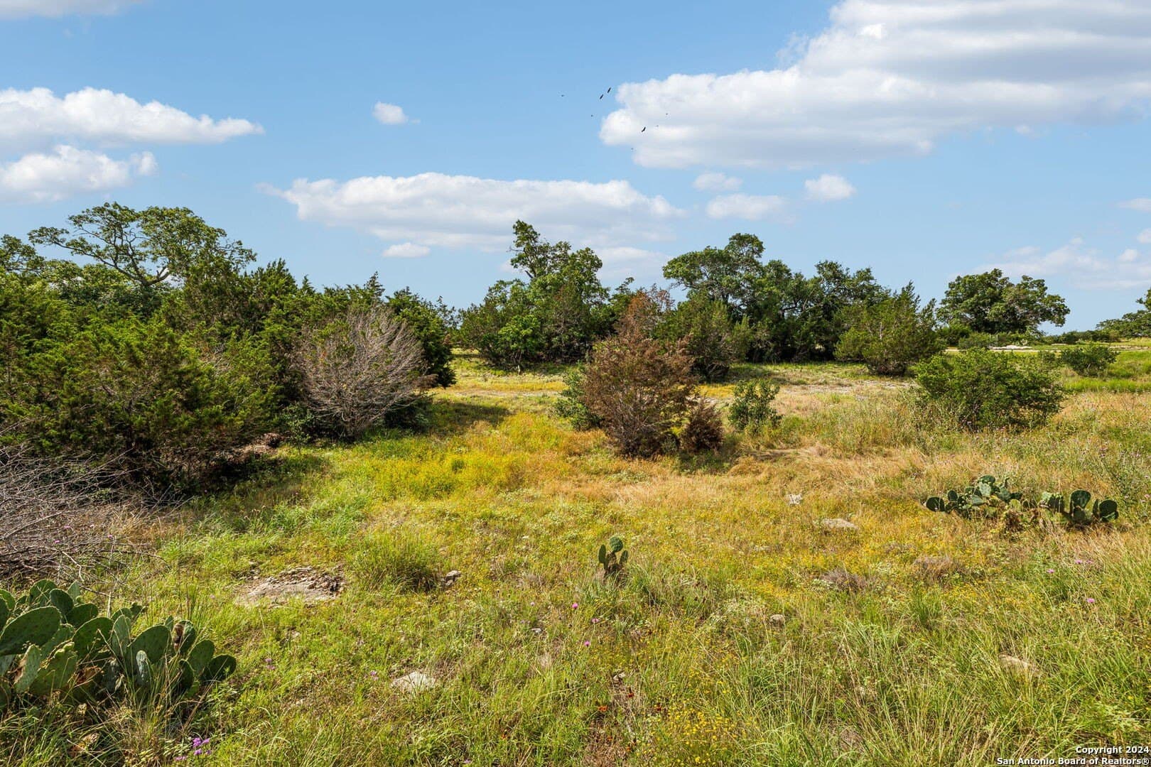 1.86 acres in Comal County - photo 7