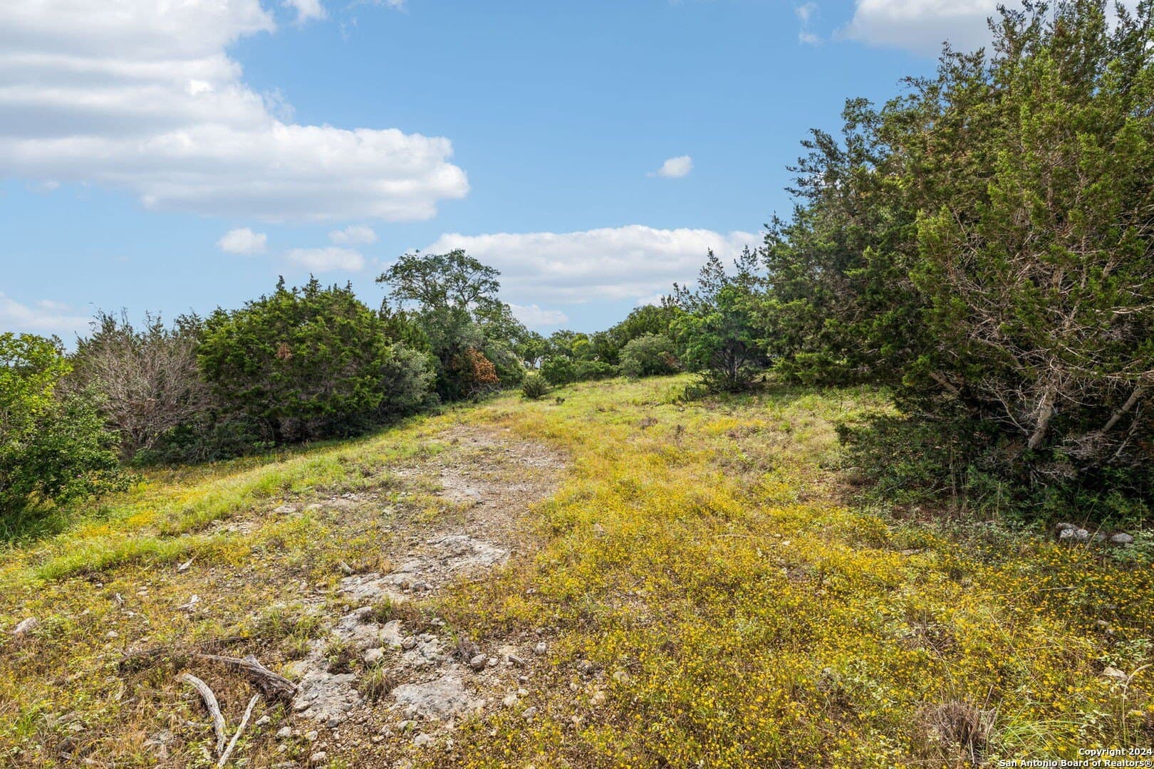 1.86 acres in Comal County - photo 9