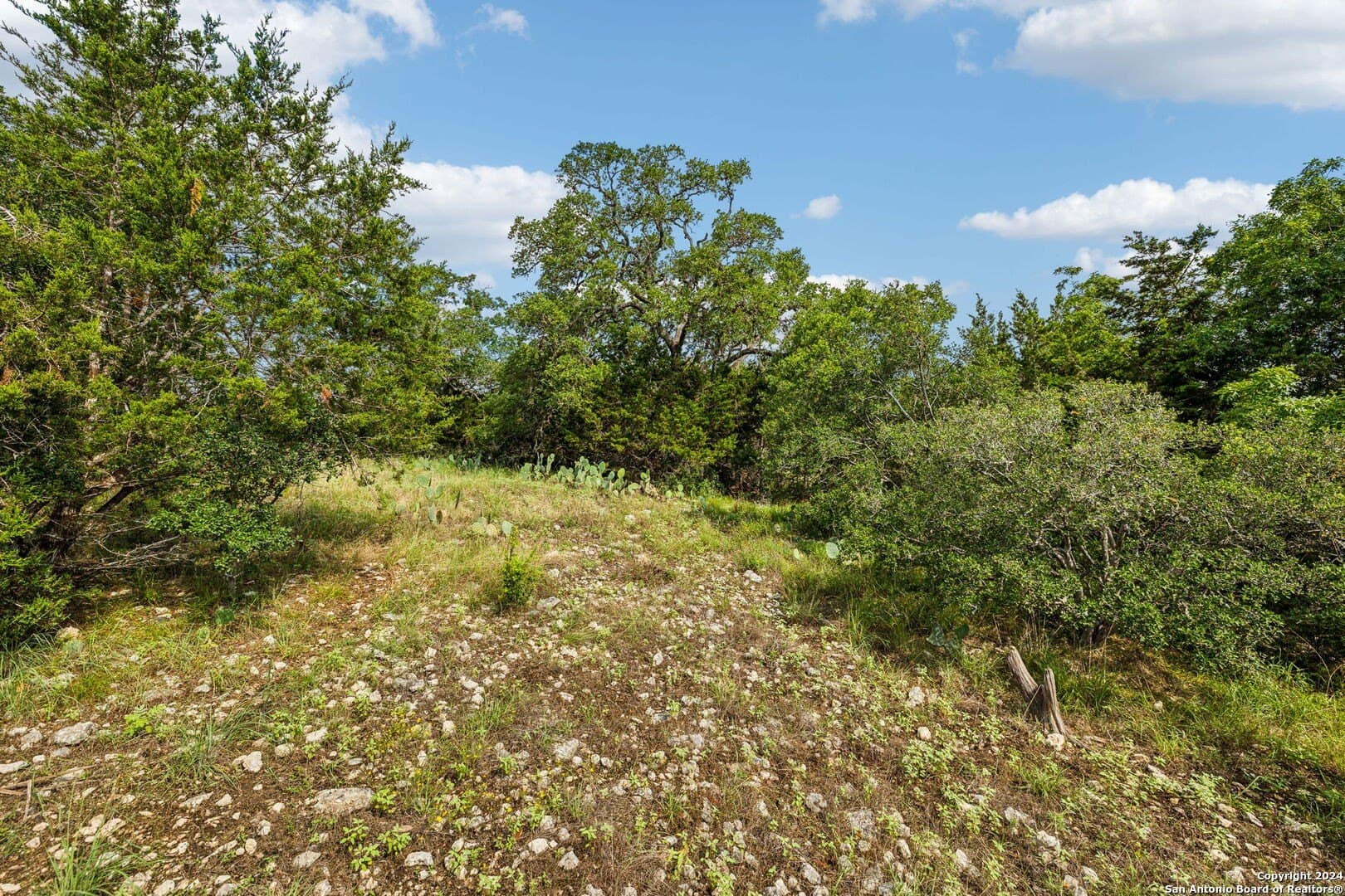 1.86 acres in Comal County - photo 11