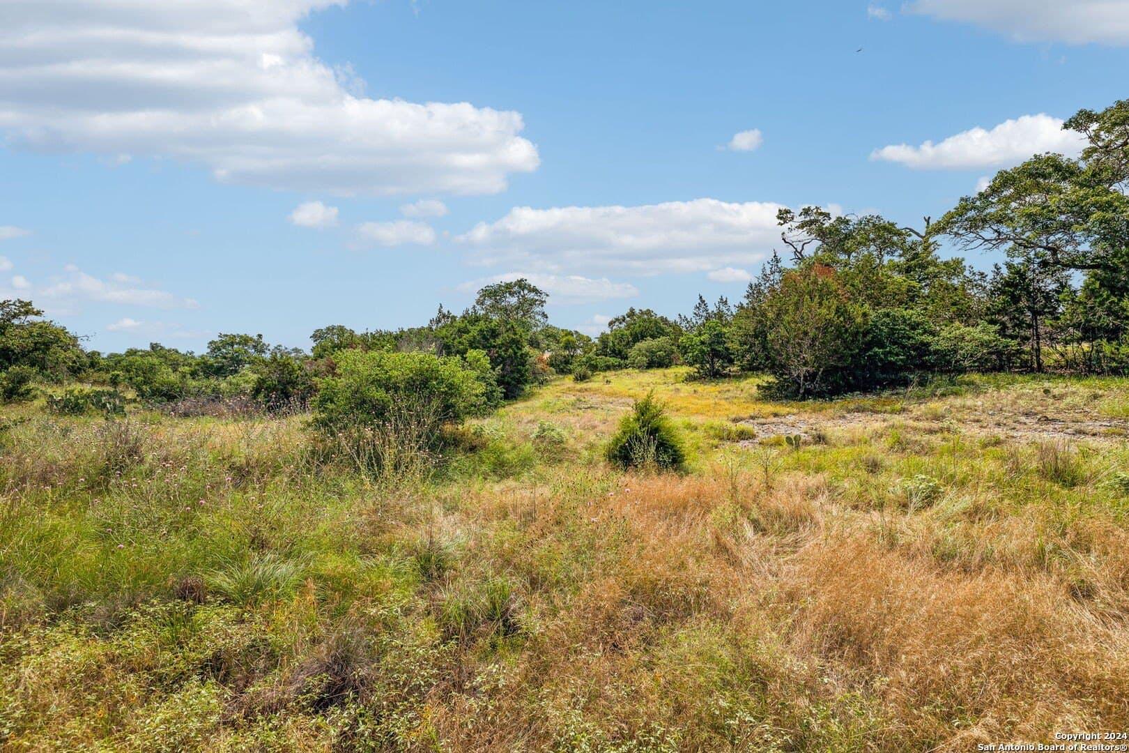 1.86 acres in Comal County - photo 8