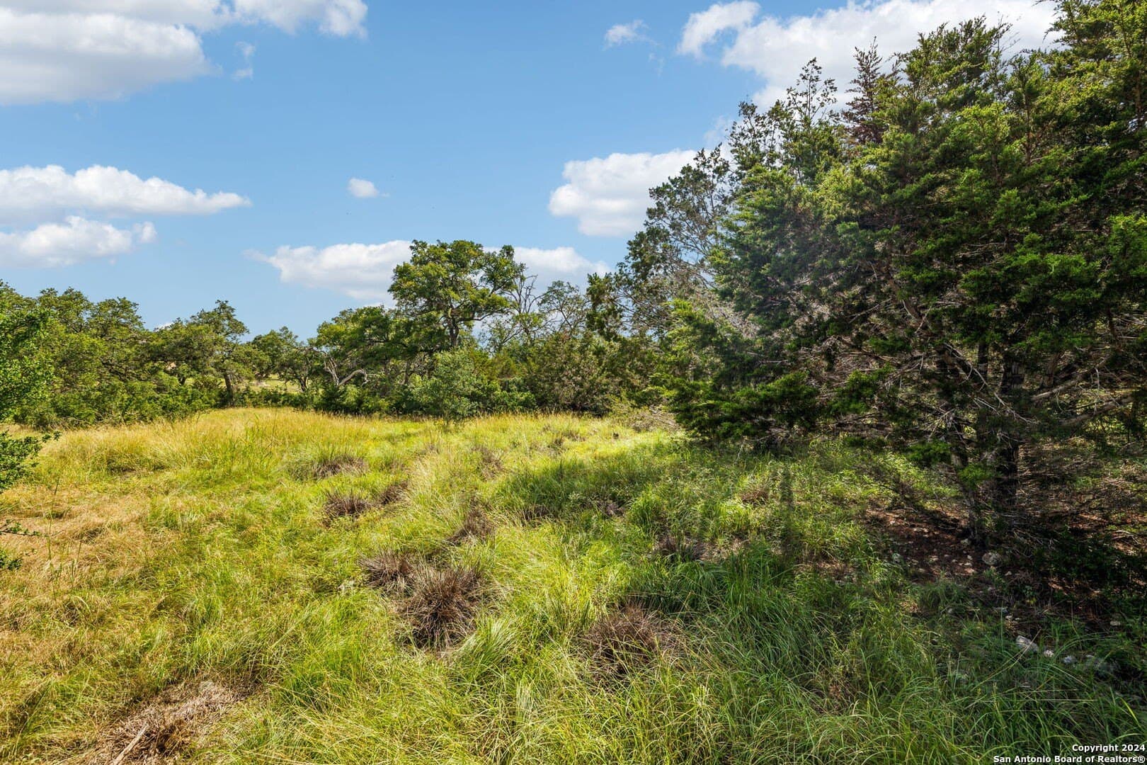 1.86 acres in Comal County - photo 5