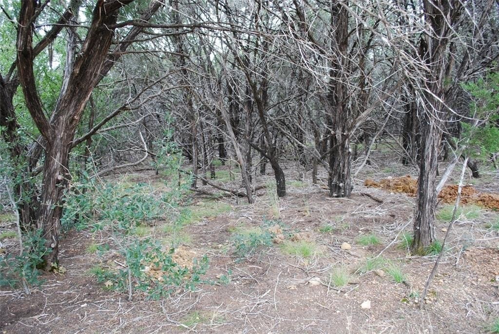 0.42 acres in Hill County - photo 16