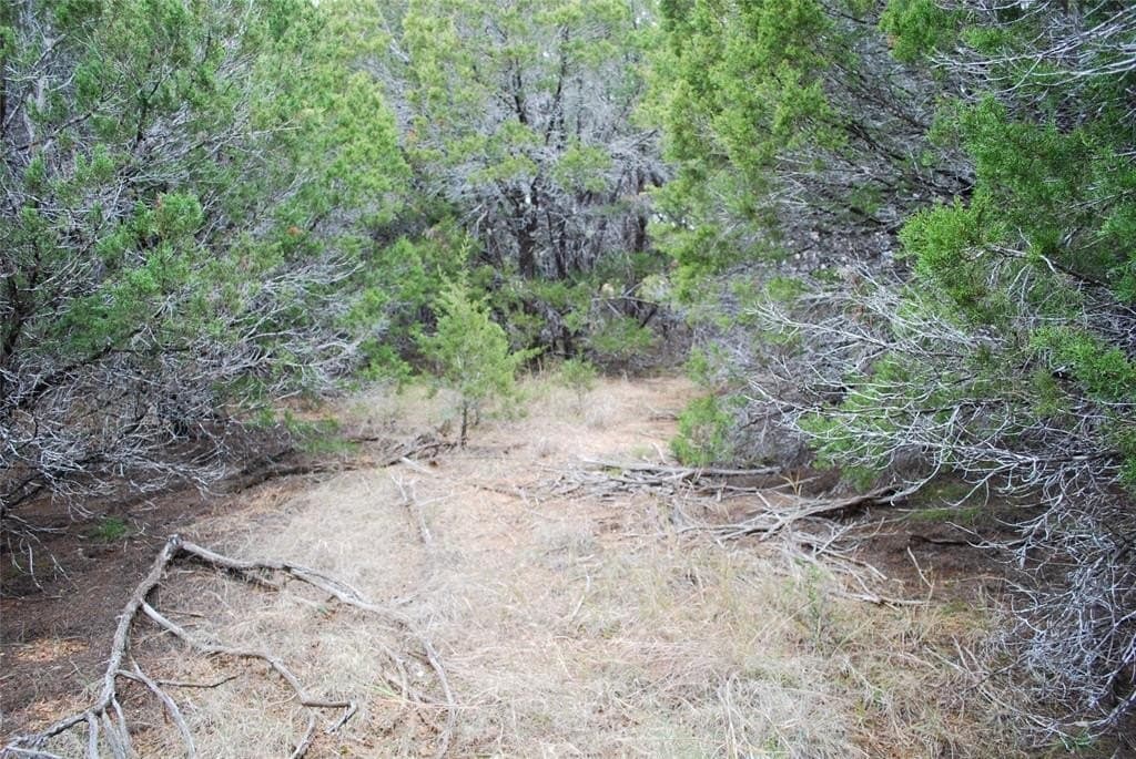 0.42 acres in Hill County - photo 4