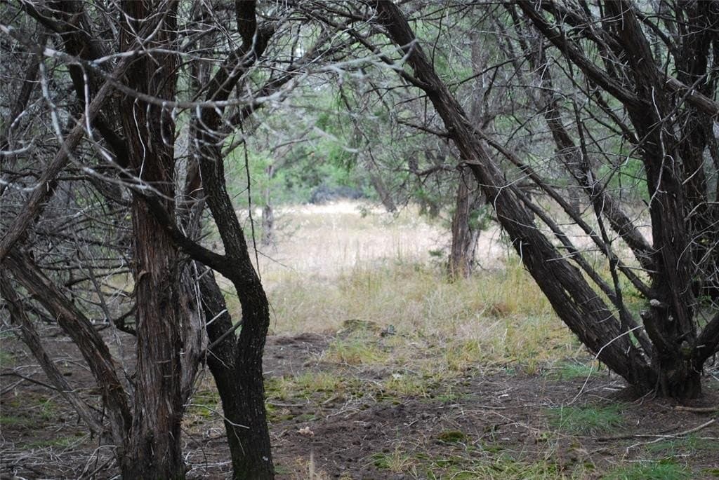 0.42 acres in Hill County - photo 11