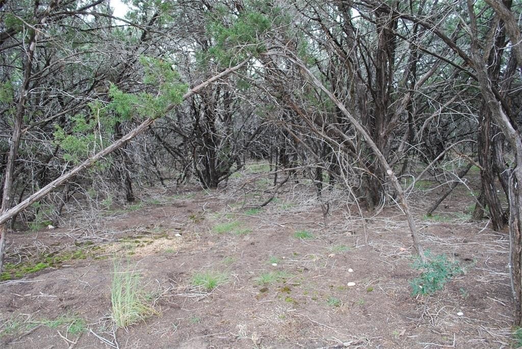 0.42 acres in Hill County - photo 14