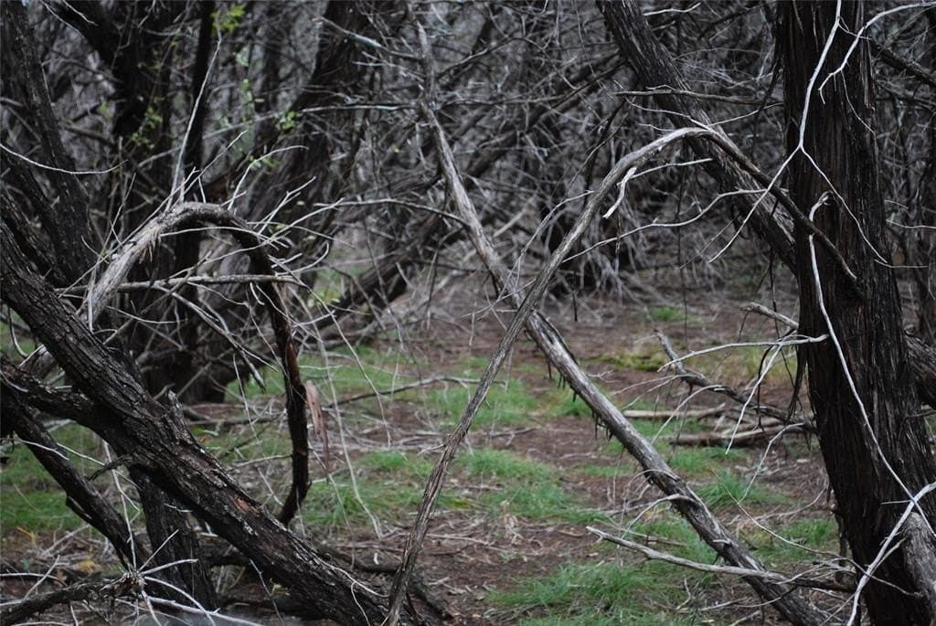 0.42 acres in Hill County - photo 3