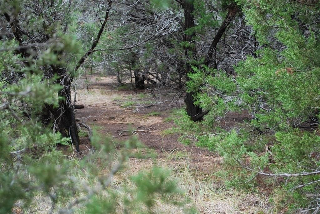 0.42 acres in Hill County - photo 6