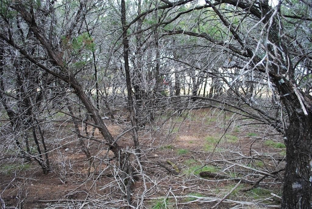 0.42 acres in Hill County - photo 5