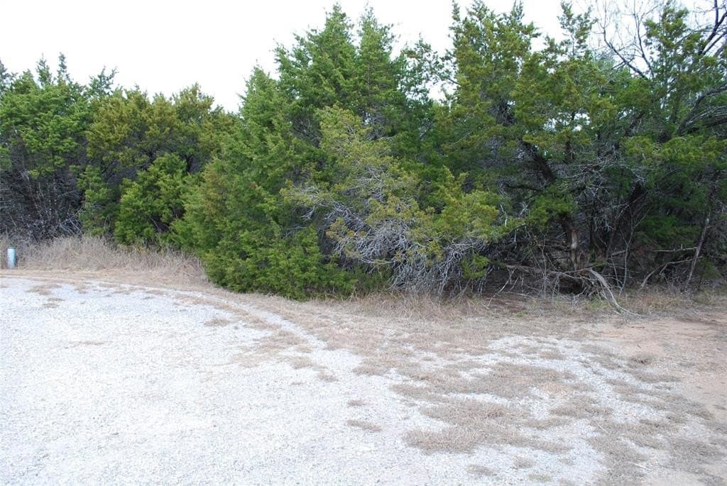 0.42 acres in Hill County - photo 8