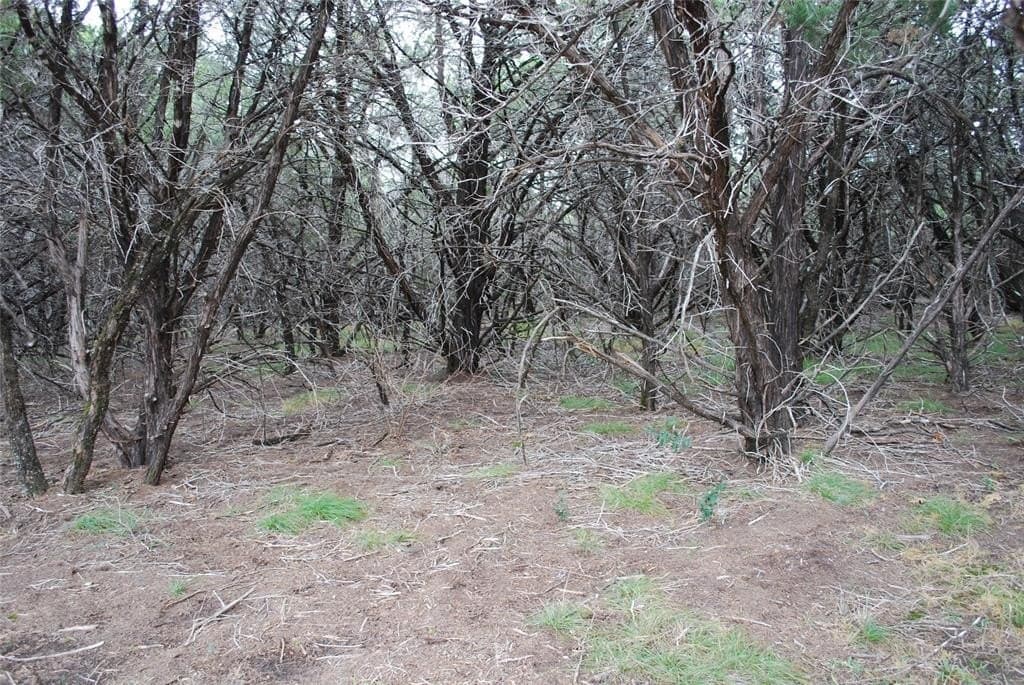 0.42 acres in Hill County - photo 13
