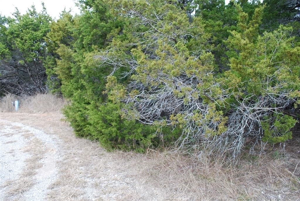 0.42 acres in Hill County - photo 7