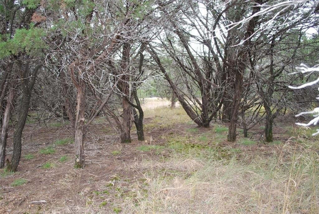0.42 acres in Hill County - photo 10