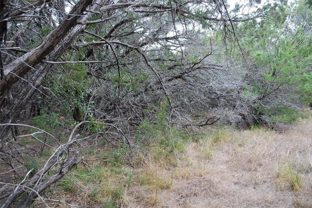 0.42 acres in Hill County - photo 2
