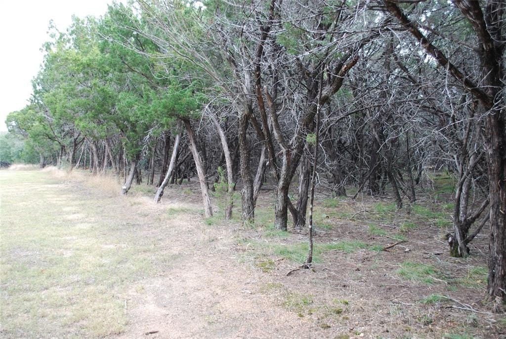 0.42 acres in Hill County - photo 12