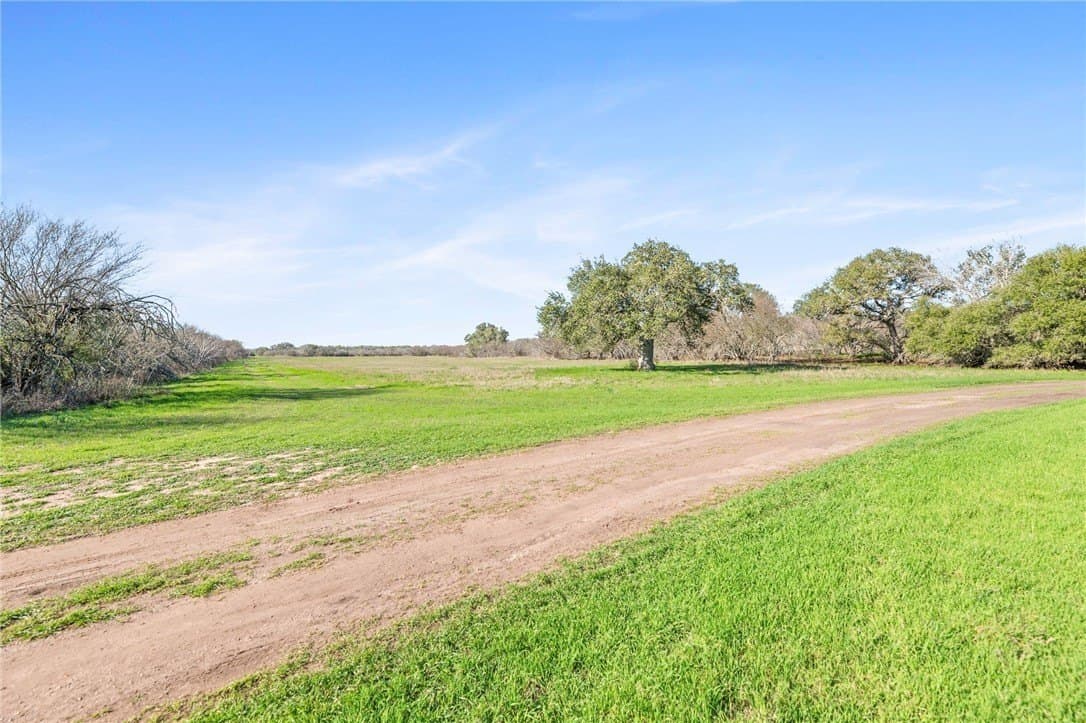 170 acres in DeWitt County - photo 31
