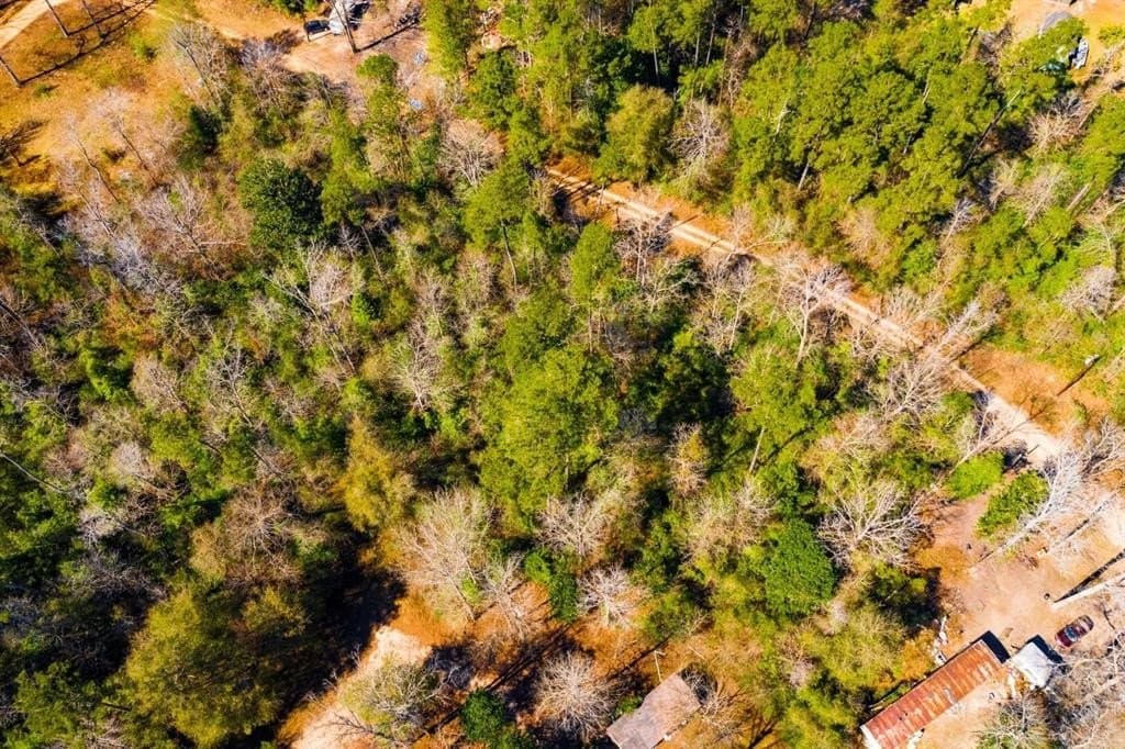 0.7 acres in Tyler County - photo 9