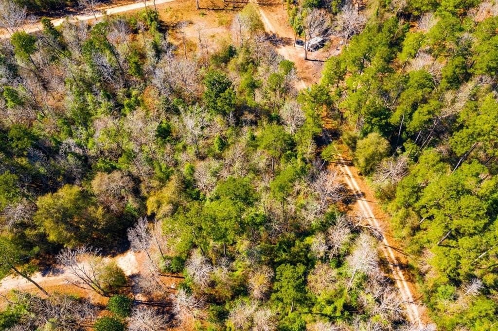 0.7 acres in Tyler County - photo 8