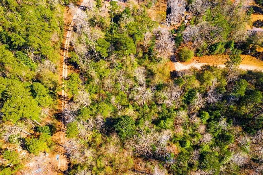 0.7 acres in Tyler County - photo 13