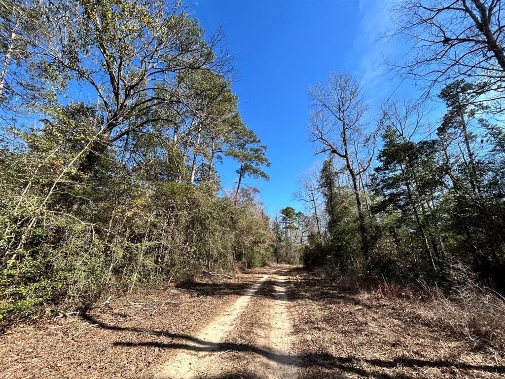 0.7 acres in Tyler County - photo 5