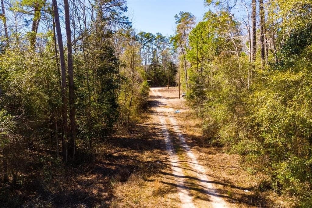 0.7 acres in Tyler County - photo 22