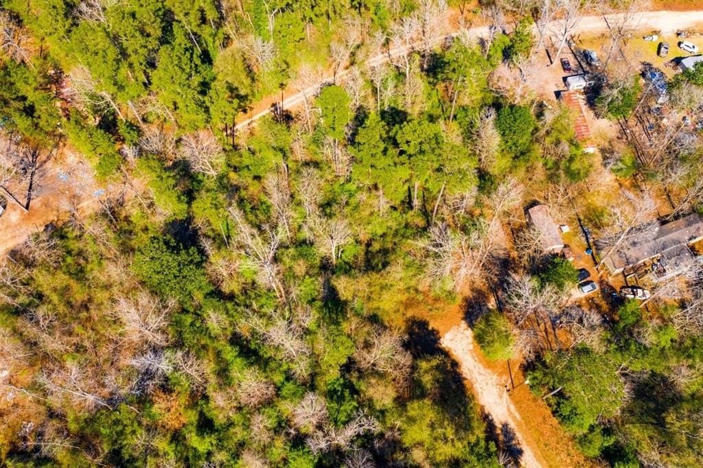 0.7 acres in Tyler County - photo 11