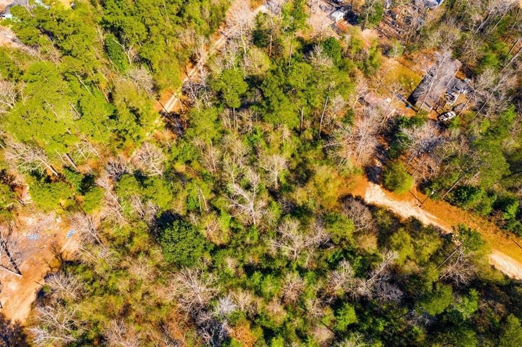 0.7 acres in Tyler County - photo 12