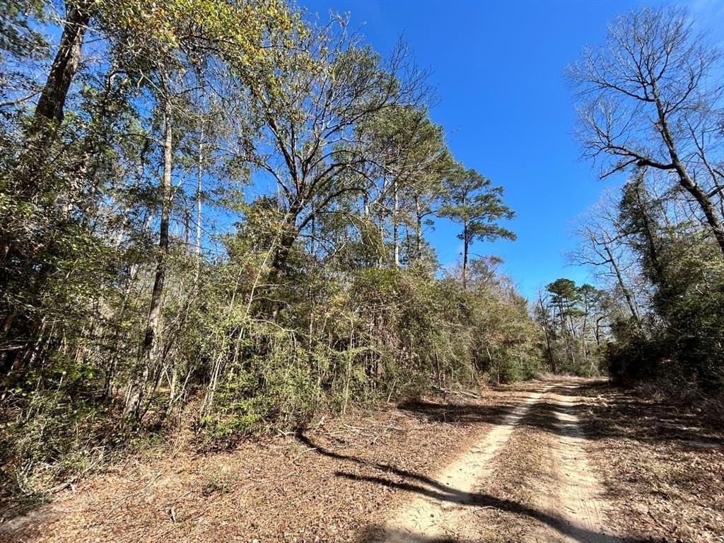 0.7 acres in Tyler County - photo 4